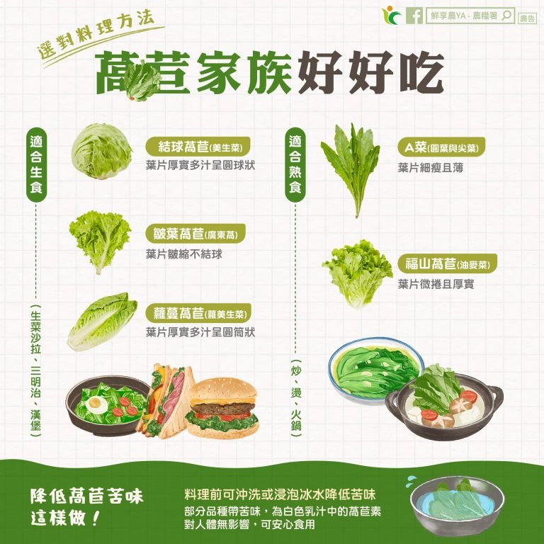 選對料理方法 萵苣(lettuce) 家族好好吃