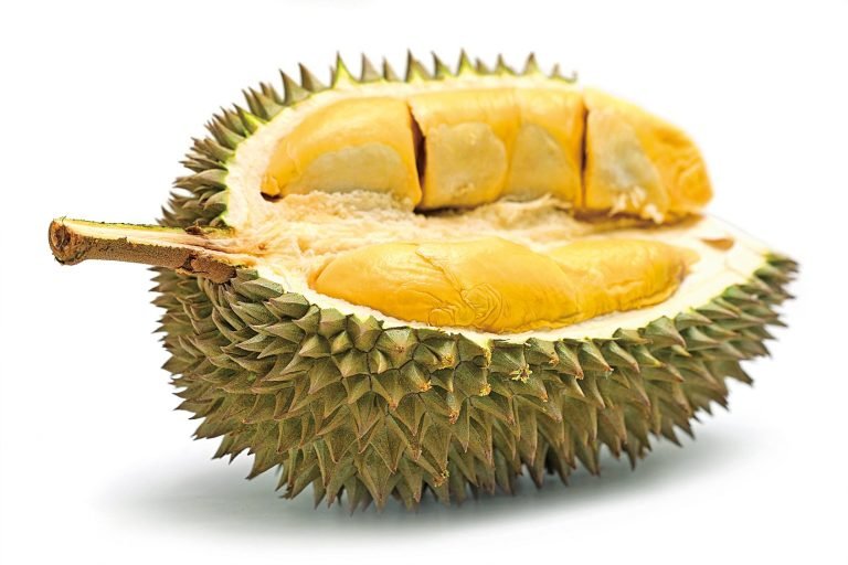 人間美味還是其臭無比？榴槤（Durian）