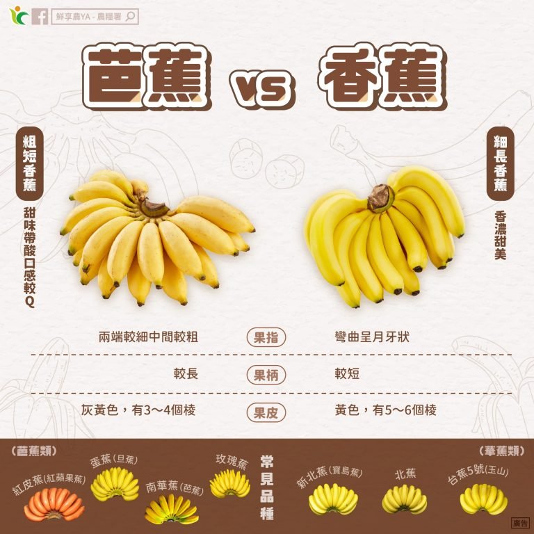 🍌絕代雙蕉….香蕉(banana)和芭蕉(plantain)