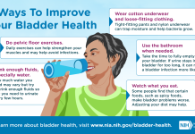 銀髮族泌尿系統照護指南:告別滴滴答答,重拾自在生活