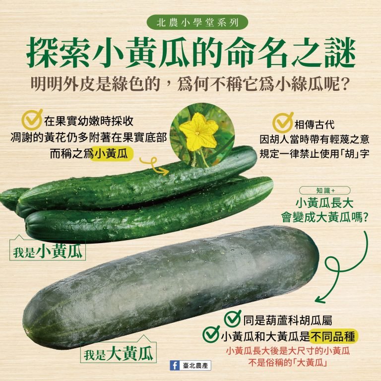 探索小黃瓜(cucumber)的命名之謎！