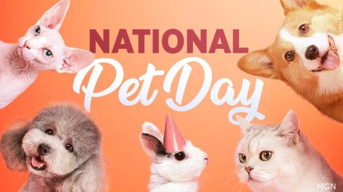 寵物日(National Pet Day)記得多疼愛一點喔