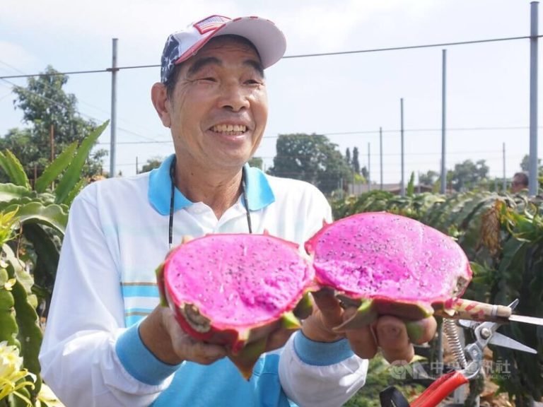 廖大盛(田庄伯)在美國種出台灣水果：服務鄉親最快樂