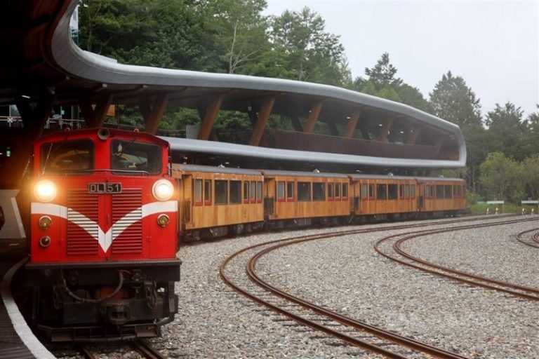 阿里山林鐵入選紐時推薦全球旅遊點 搭古老車廂探索山林美景