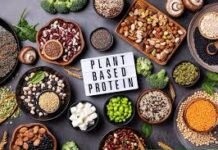 美國新版飲食指南將出爐 首度建議植物蛋白優先於動物蛋白